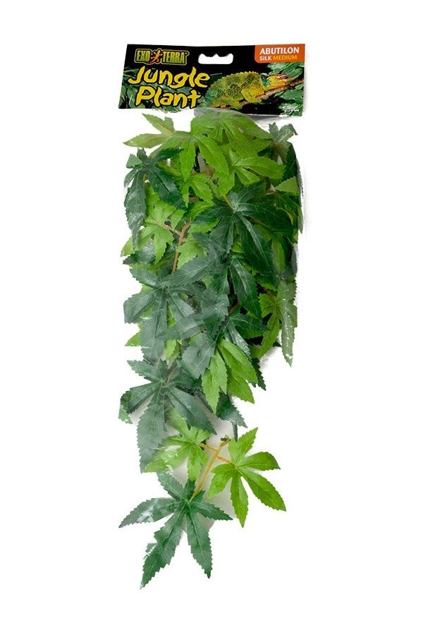 Exo Terra Abuliton medium