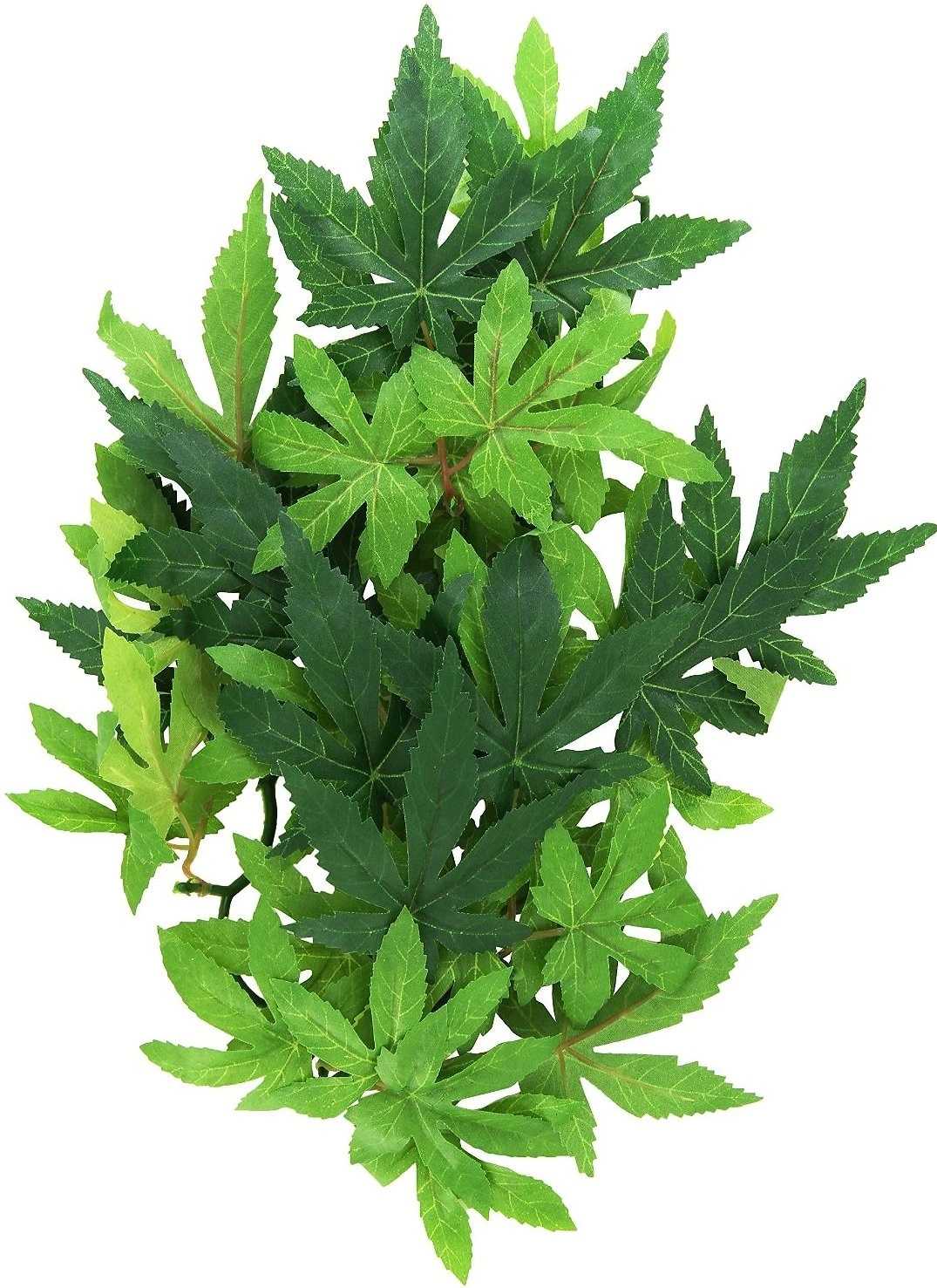 Exo Terra Abutilon lille