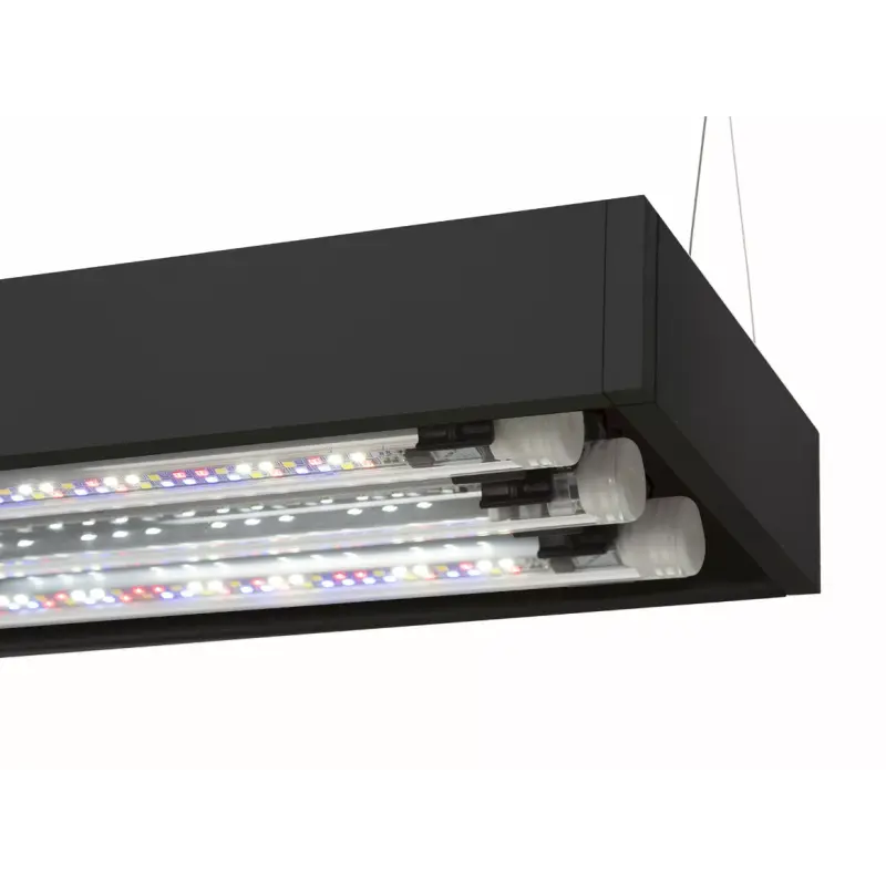 AquaEl Akvarie og Lampe Ultra Scape 60 Forest