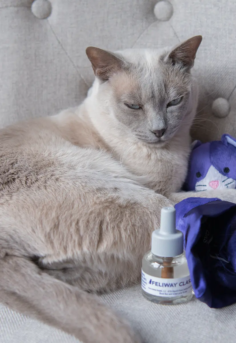 Feliway Classic refill til diffusor 48 ml