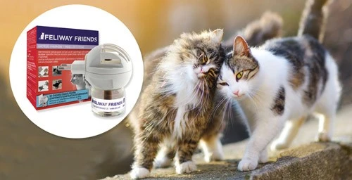 Feliway Friends diffusor med flaske 48 ml