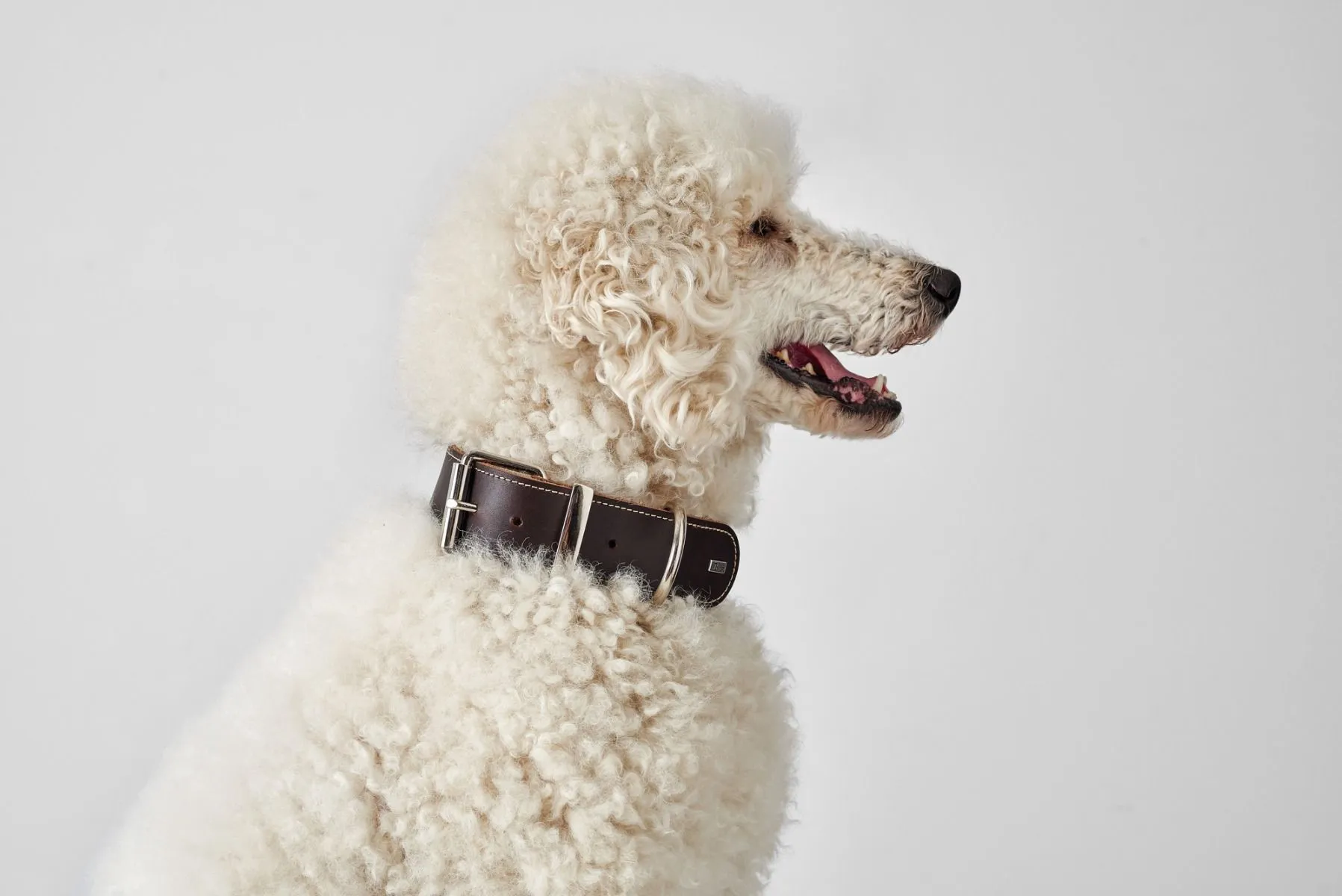 Hunter Aalborg 70 Special Mørkebrunt hundehalsbånd - 51-61 cm