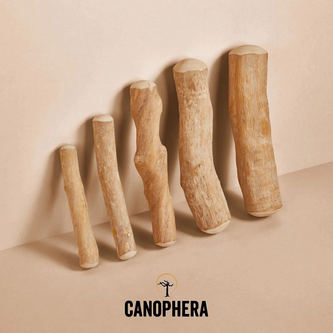 Canophera Kaffetræ XS - naturligt tyggelegetøj til små hunde