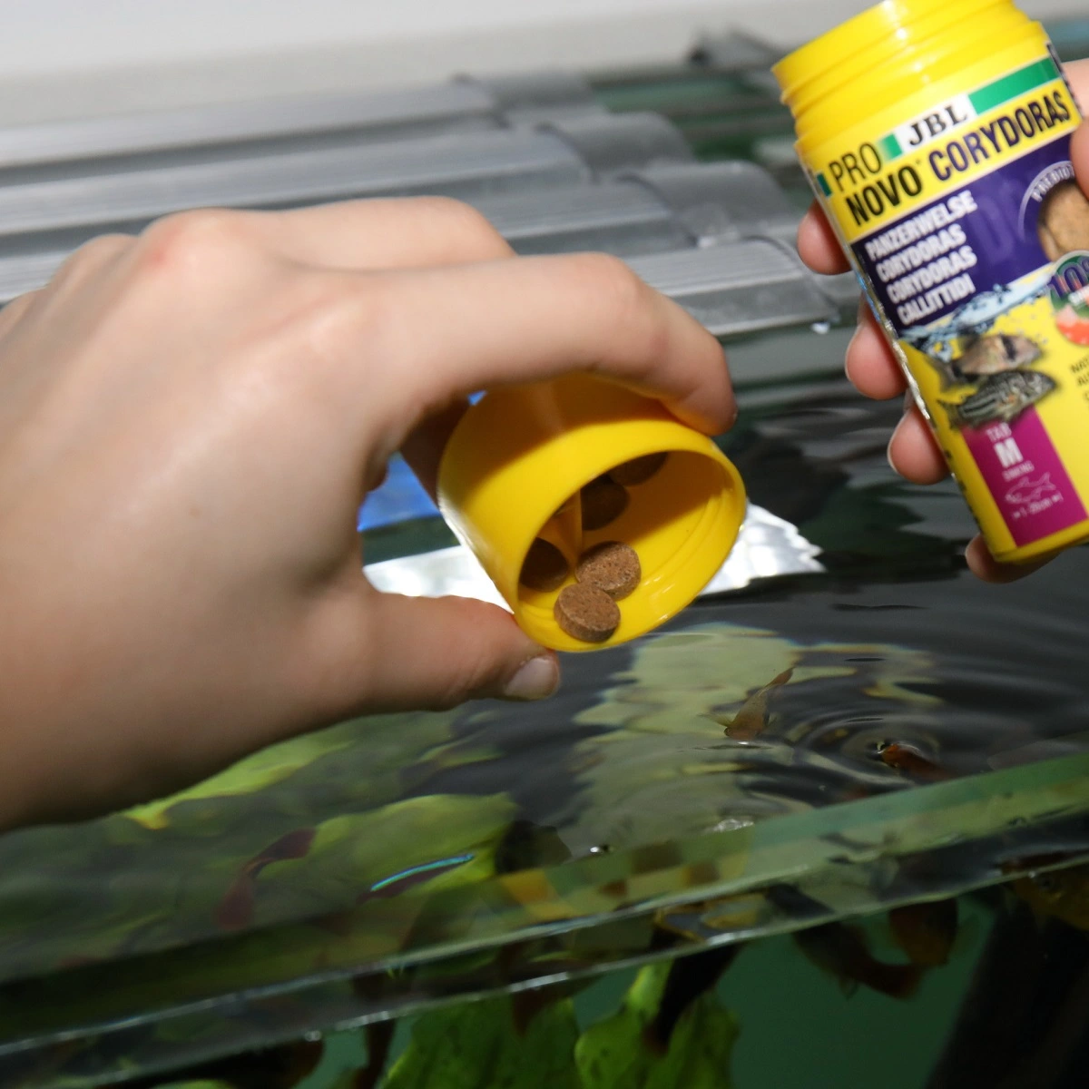 JBL ProNovo Corydoras Tab M 100 ml