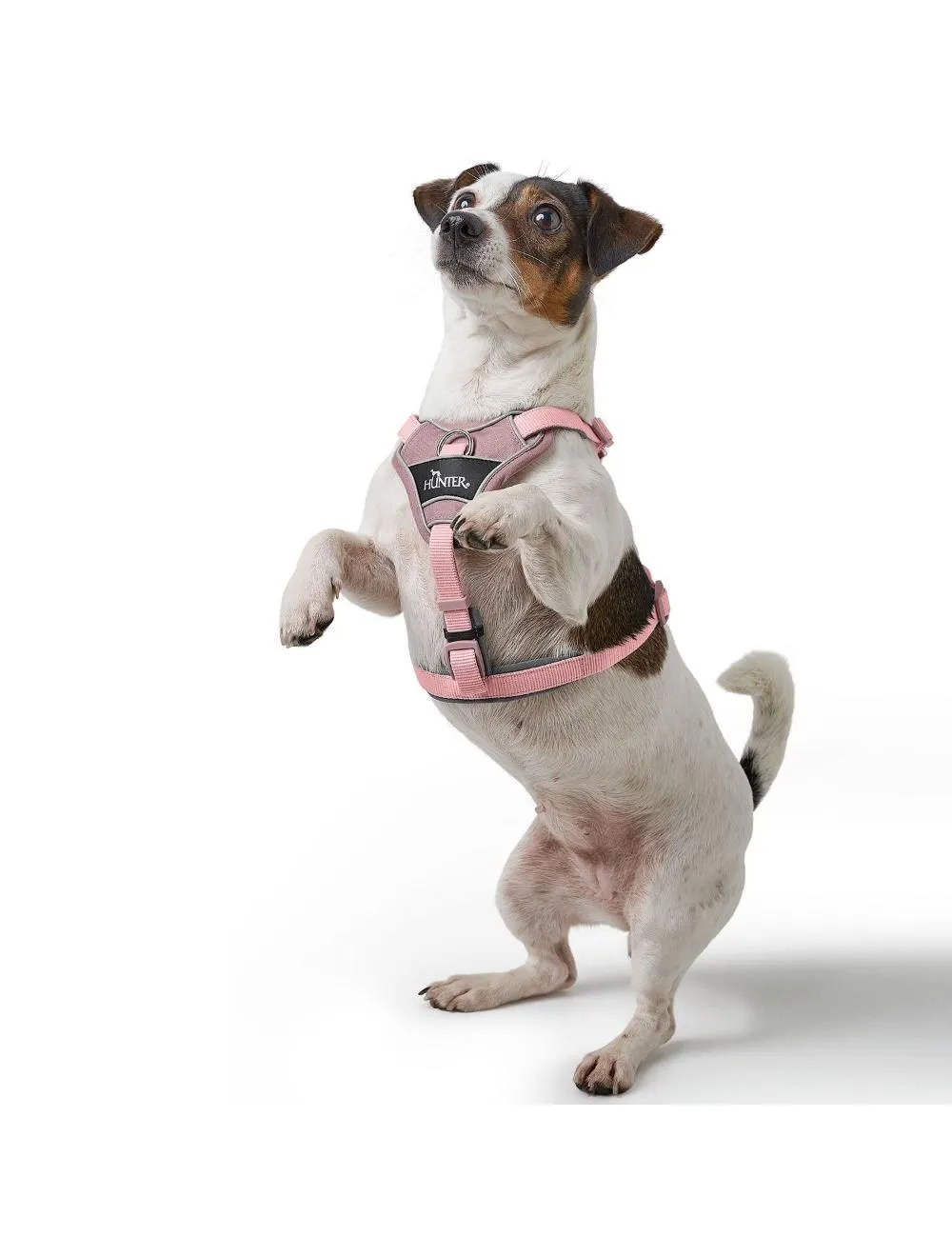 Hunter Divo Up hundesele L-XL lyserød just mave 79-107 cm - Stabil støtte og tryg kontrol