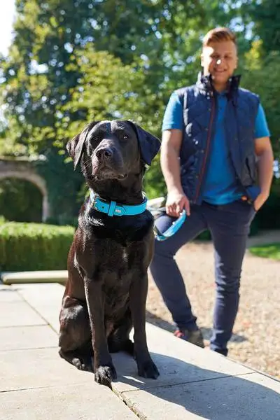 Hunter Softie hundehalsbånd 50 cm sort - 36-44 cm indstilling