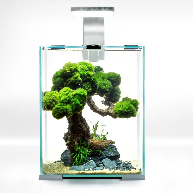 Shrimpset Day and Night 10 L 20x20x25 cm Hvid