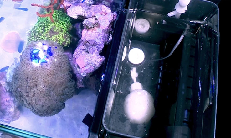 Red Sea Nano Max Complete Reef System Hvidt G2