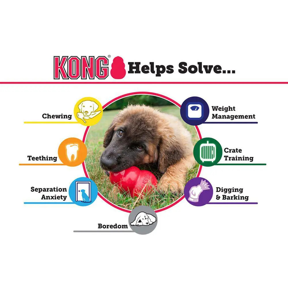 KONG Puppy Medium - hvalpelegetøj til leg og tyggetræning