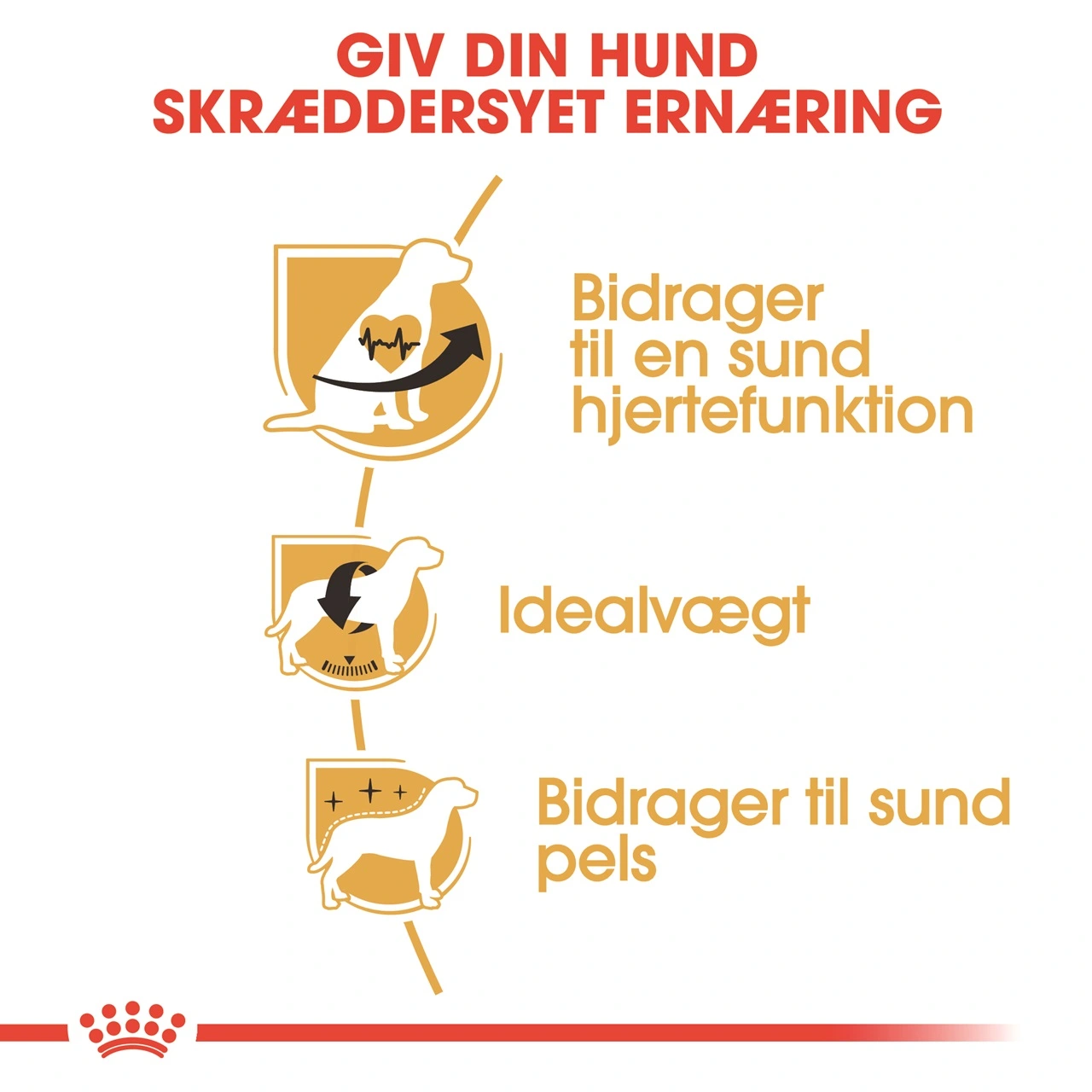 Royal Canin Cavalier King Charles Adult 1,5 kg - tørfoder til små hunde