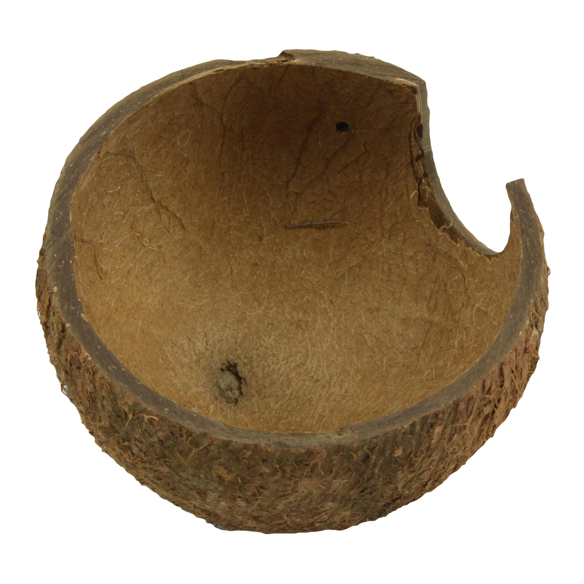 JBL Cocos Cava 1/2 hule (medium)
