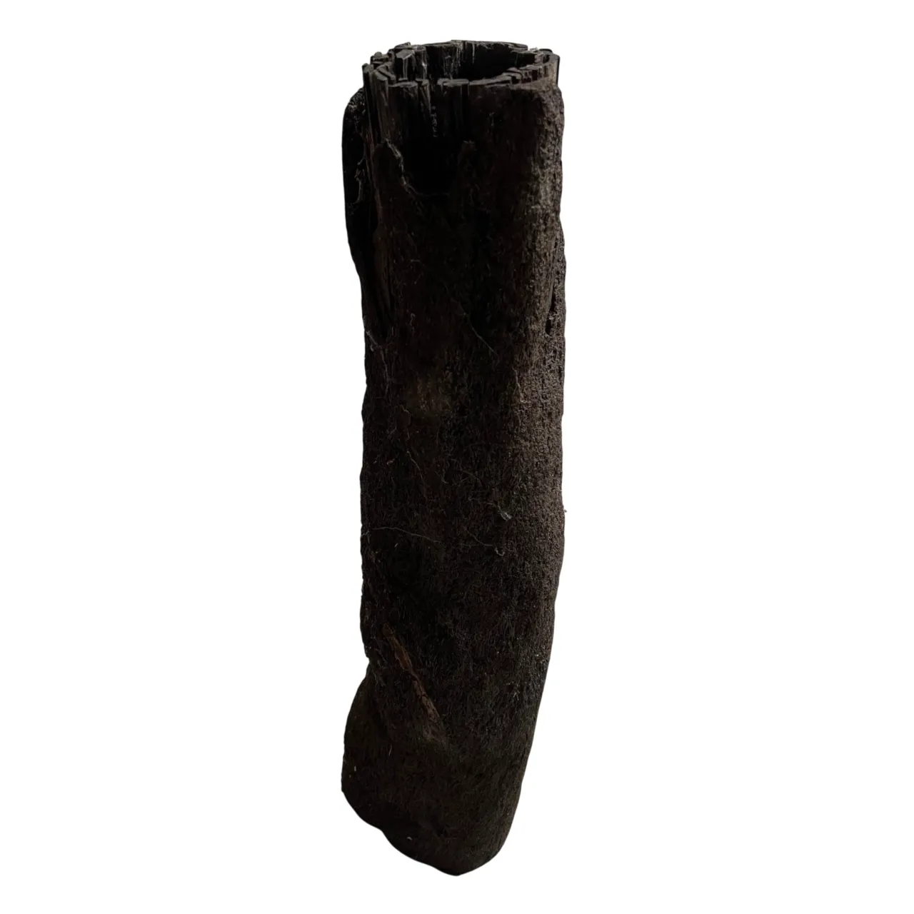 MiniZoo.dk Xaxim Træstamme Ø 30-40 cm XXL ca 1 meter