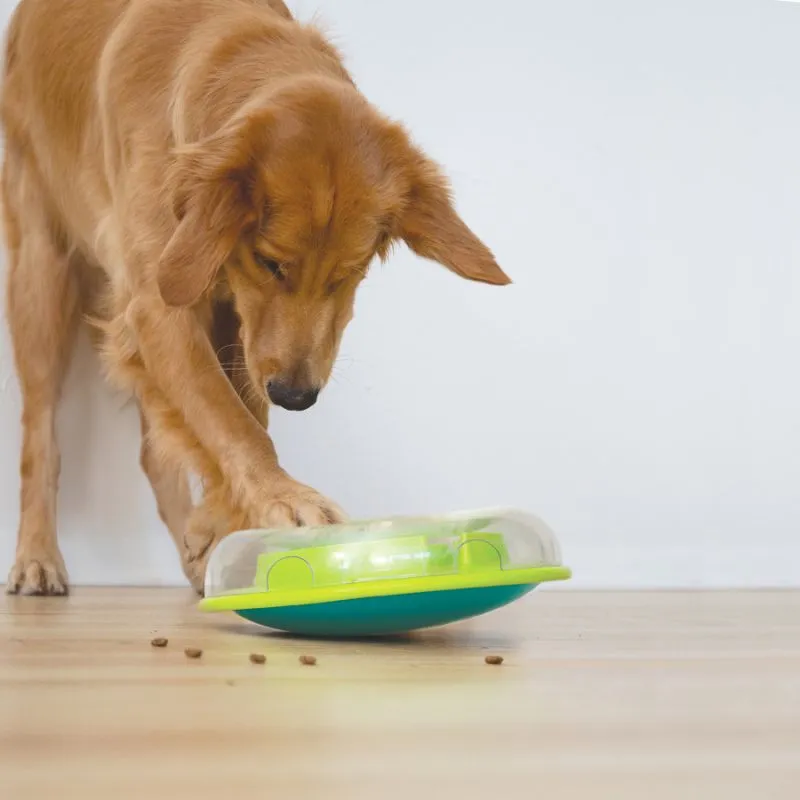 Wobble Bowl Grøn Niveau 1 - interaktiv foderskål til hunde