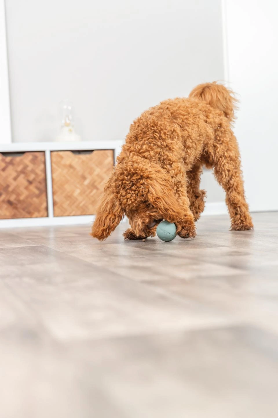 Trixie snack bold ø 6 cm - aktiveringslegetøj til hunde