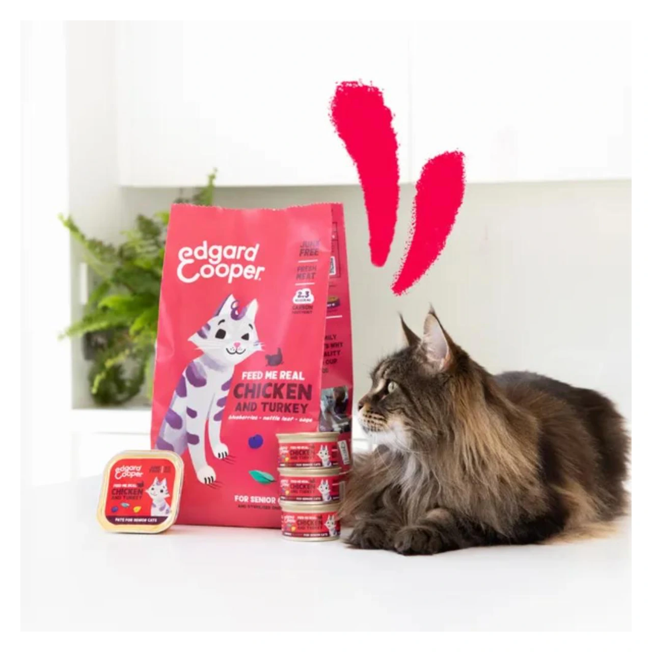 Edgard & Cooper tørfoder til seniorkatte med kylling og kalkun 2 kg