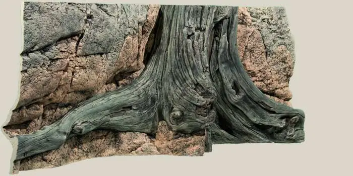 Back to Nature Amazonas 120 cm