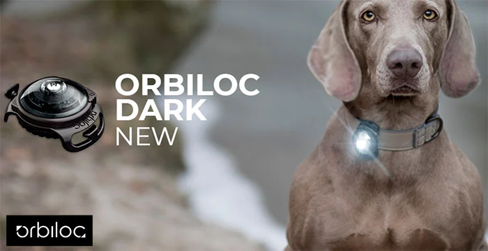 Orbiloc hundelygte Dark Sort