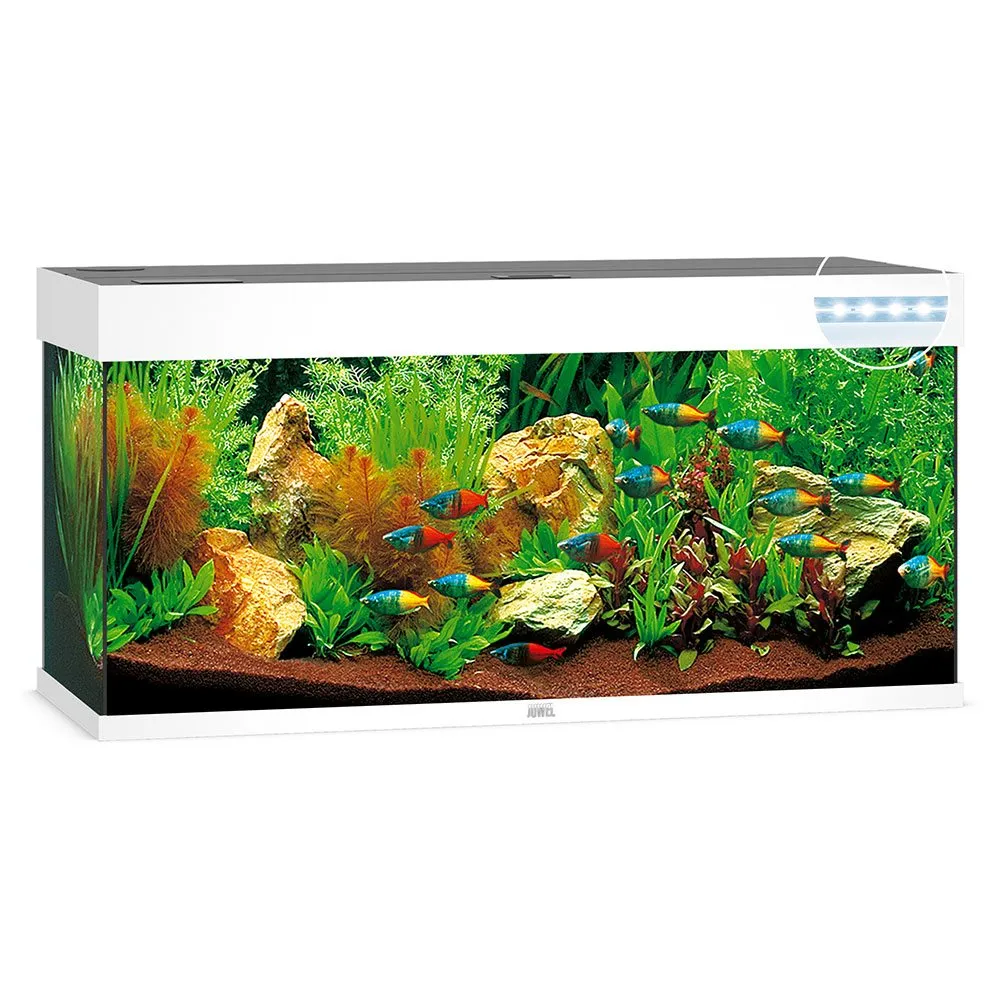 Juwel Rio 240 L Hvid 121x41x55 cm