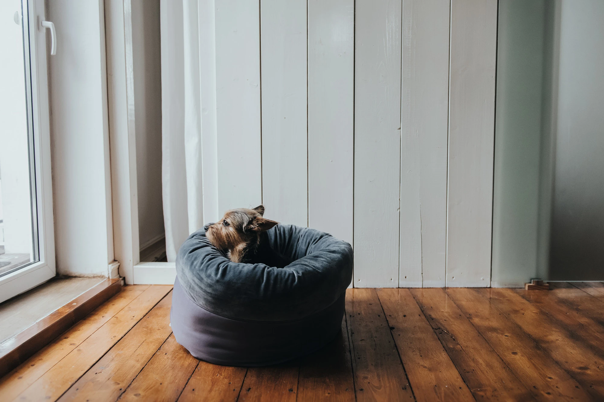 Hunter Miranda donut seng M Ø 50 cm Mørkegrå