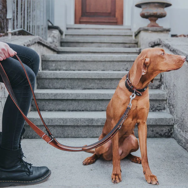 Hunter Cody 45 Mørkebrun Cognac hundehalsbånd - 33-39 cm
