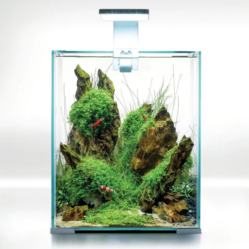 Shrimpset Day and Night 20 L 25x25x30 cm Hvid