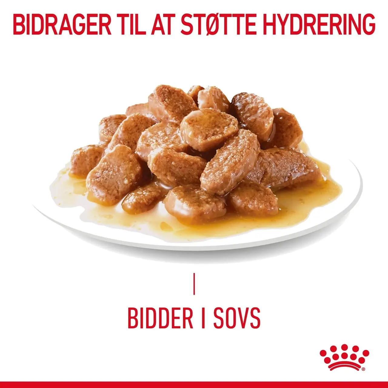 Royal Canin Hairball Care Sovs - vådfoder 85 g