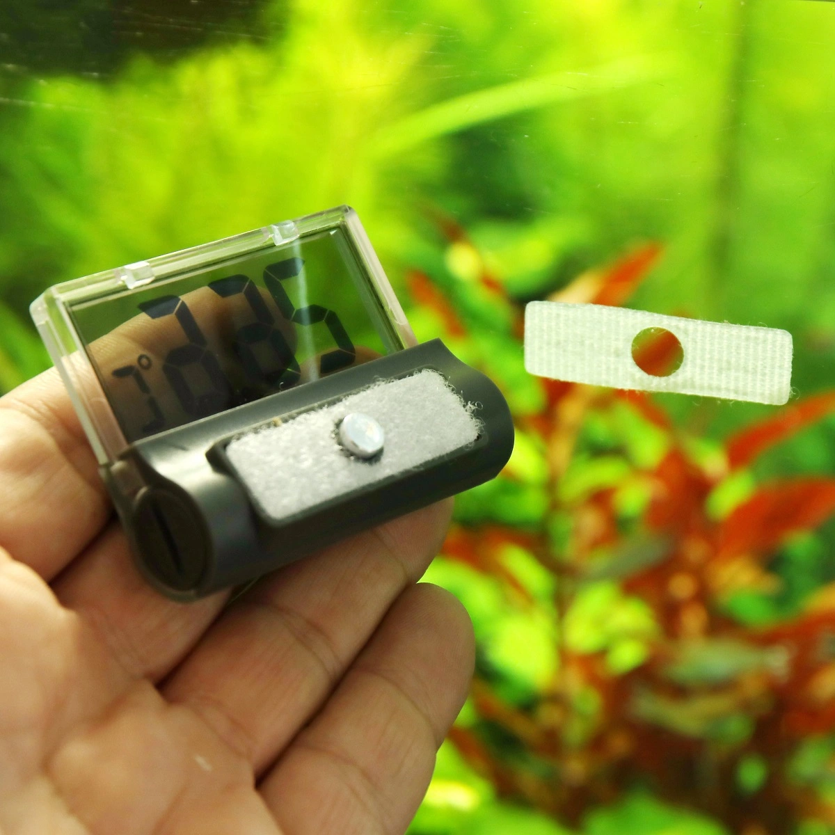 JBL Akvarium Termometer Digiscan