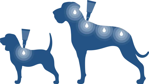Bayvantic Vet hund 40-60 kg 4 x 6,0 ml