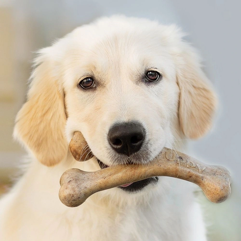 Benebone Puppy Wishbone Bacon M - hvalpe tyggeben med bacon
