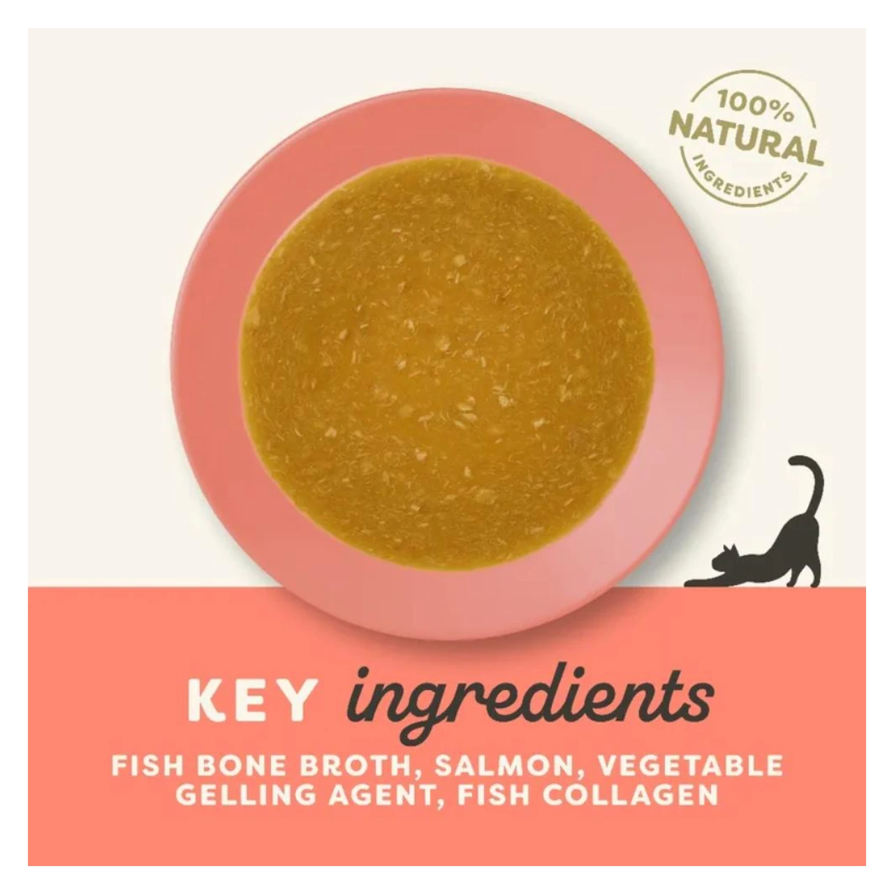 Applaws Kattevådmad Bone Broth tun og laks 4 x 85 g