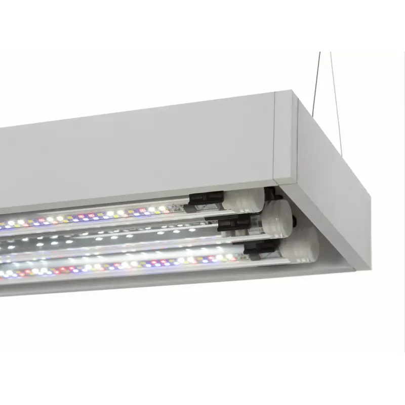 AquaEl Akvarie og Lampe Ultra Scape 60 Snow