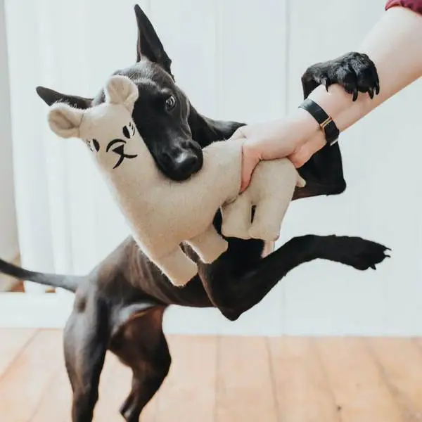 Hunter Tirana Lama M - bamse til mellemstore hunde