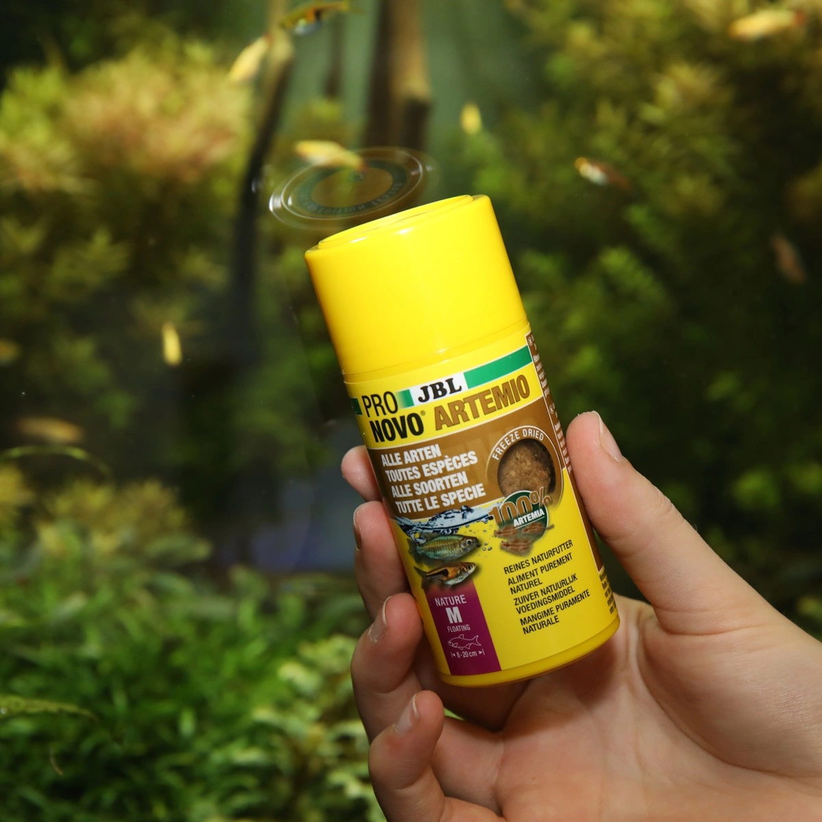 JBL ProNovo Artemio 100 ml