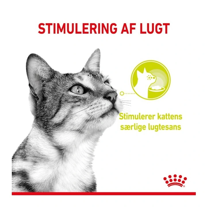 Royal Canin Kattevådmad Sensory Smell Sovs Adult