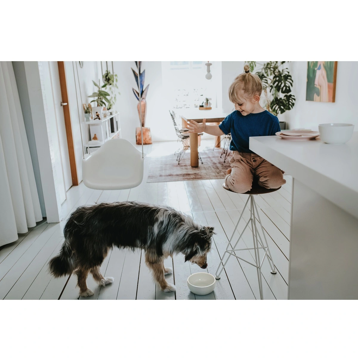 Hunter keramik Lund hunde skål 1500 ml Beige