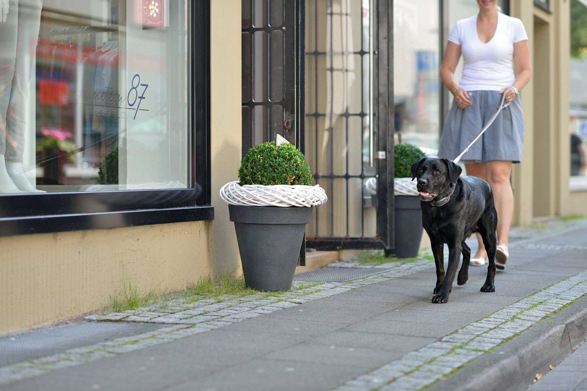 Hunter Hundehalsbånd læder Canada Elg Grå 35 - 24-30 cm