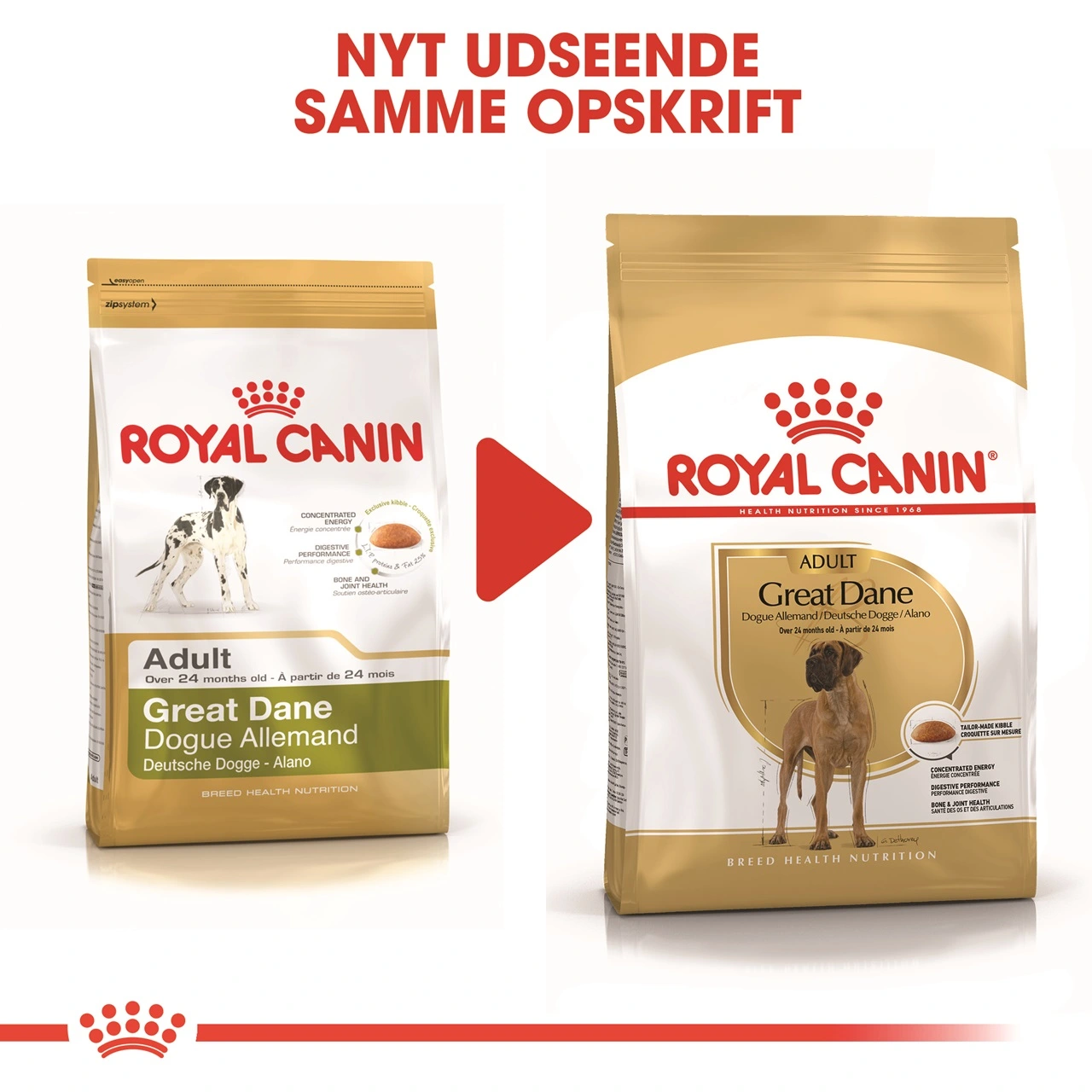 Royal Canin Great Dane Adult 12 kg - tørfoder til voksne hunde