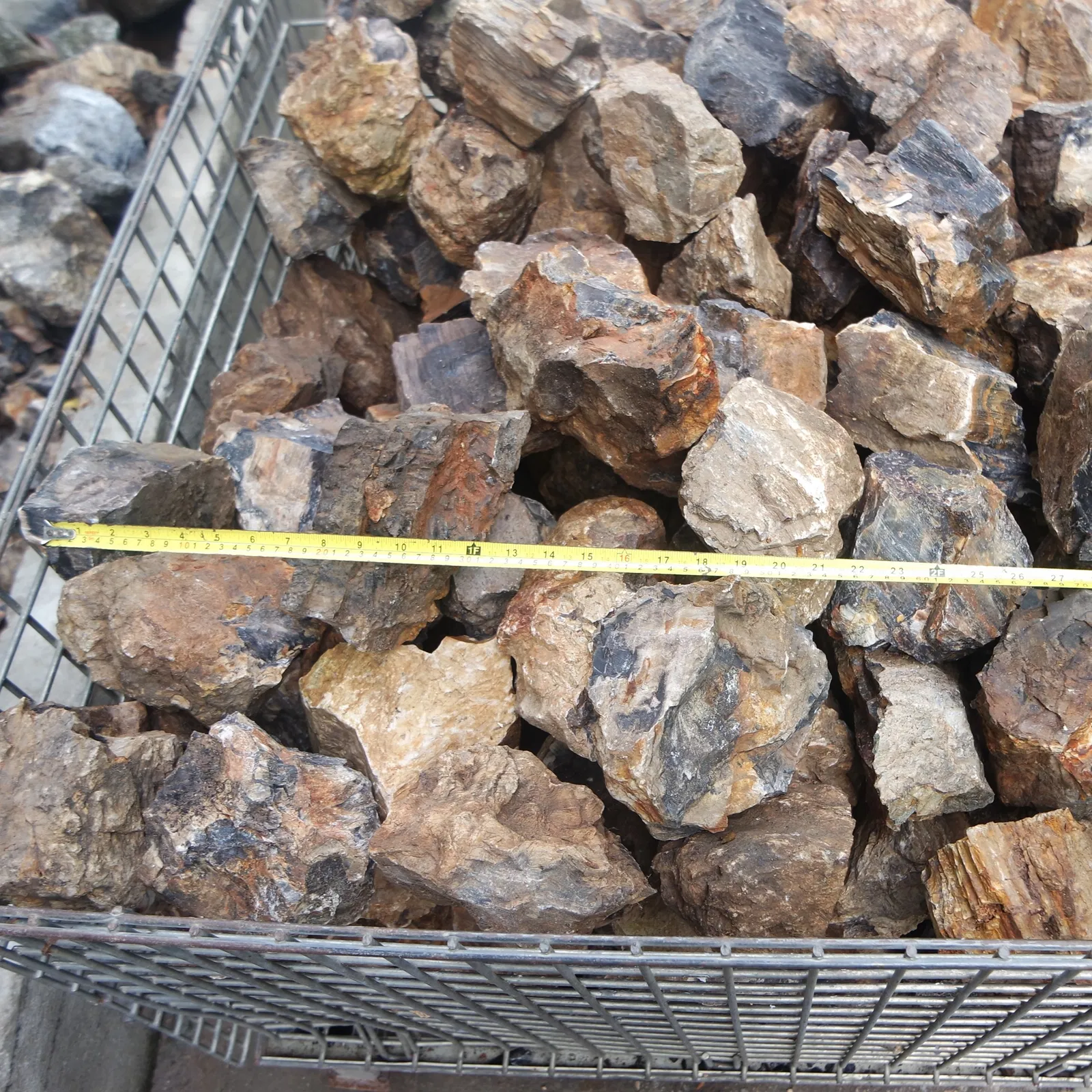 AquaScaping sten Wood Fossil pr kg