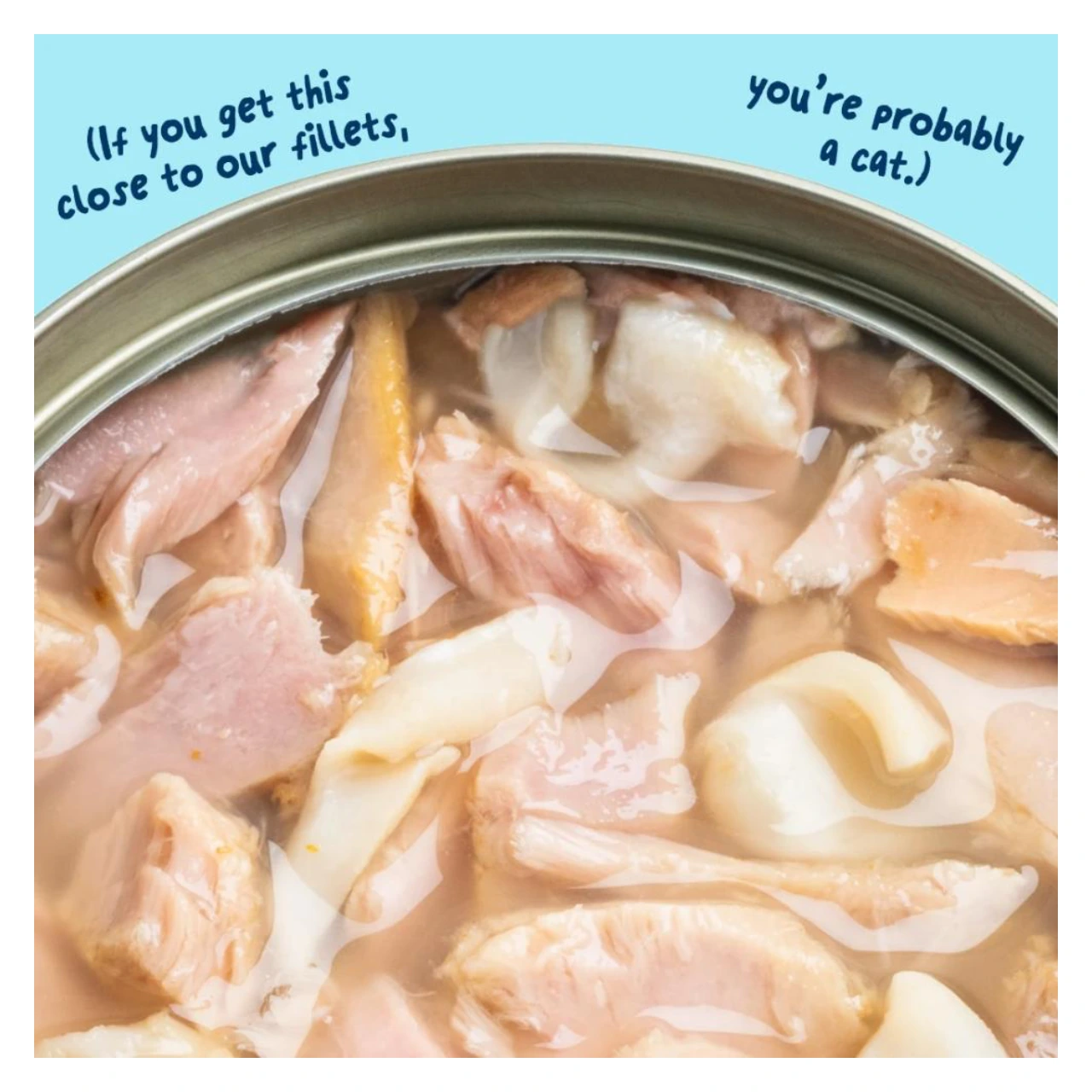 Edgard & Cooper kattefilet med tun og blæksprutte 70 g