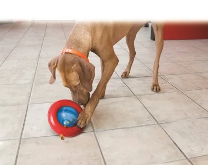 KONG Gyro Small Ø12,7x7,5 cm - snackbold til små hunde