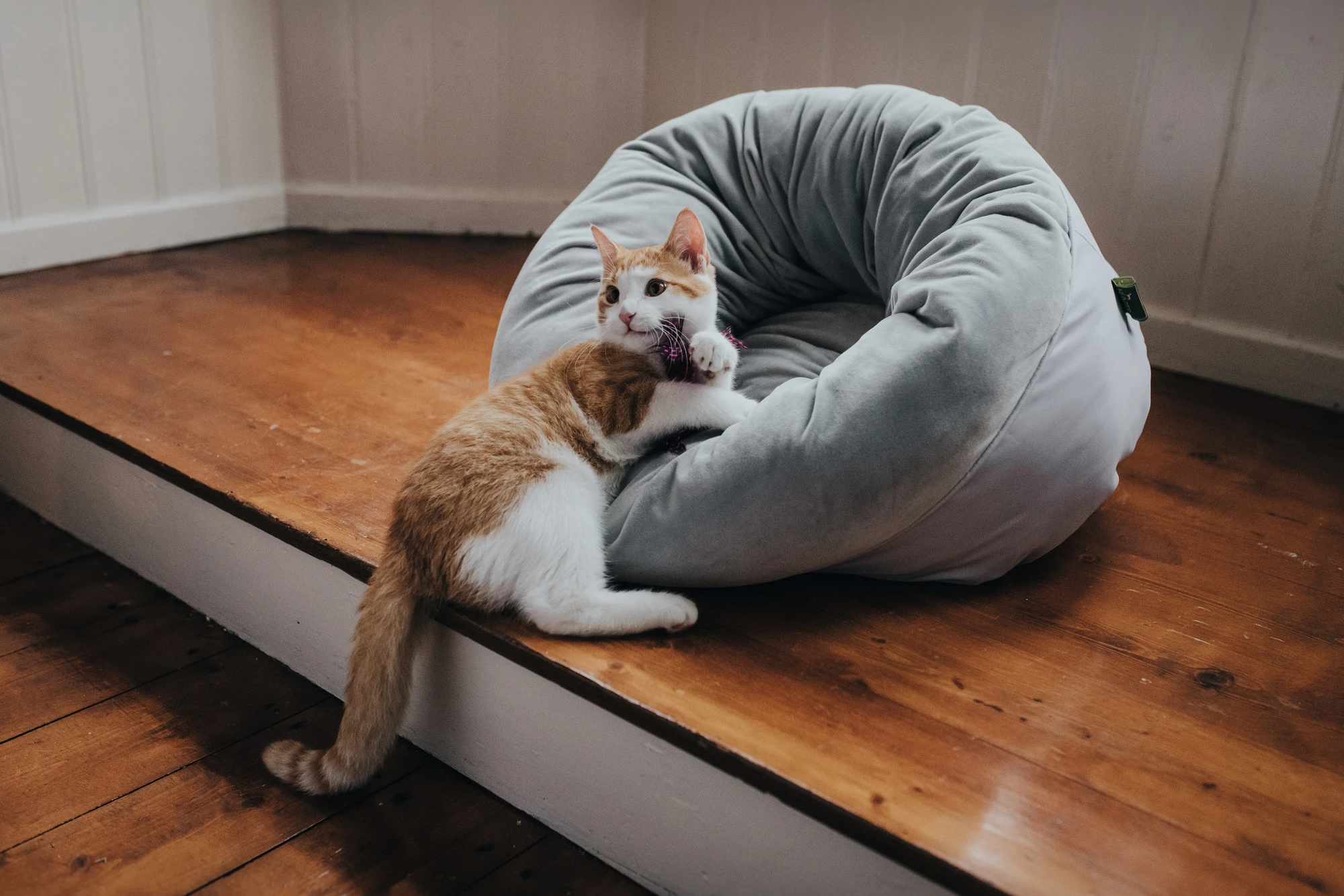 Hunter Miranda donut seng Ø 50 cm Lysegrå