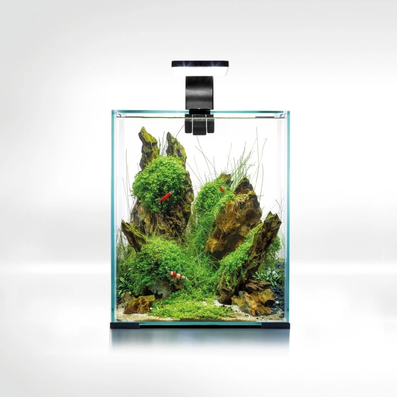 Shrimpset Day and Night 20 L akvarium 25x25x30 cm Sort