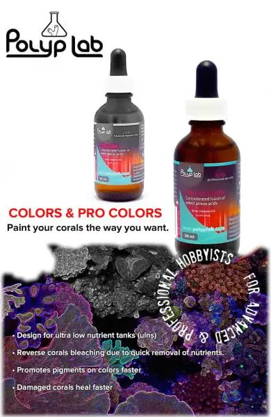 Polylab Colors 50 ml