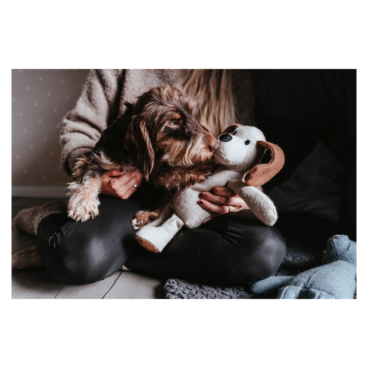 Hunter Marle Hund hundebamse uden pivelyd 35 cm