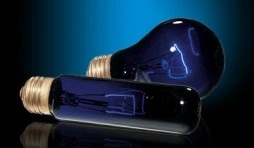 Exo Terra Night Glo 50 w
