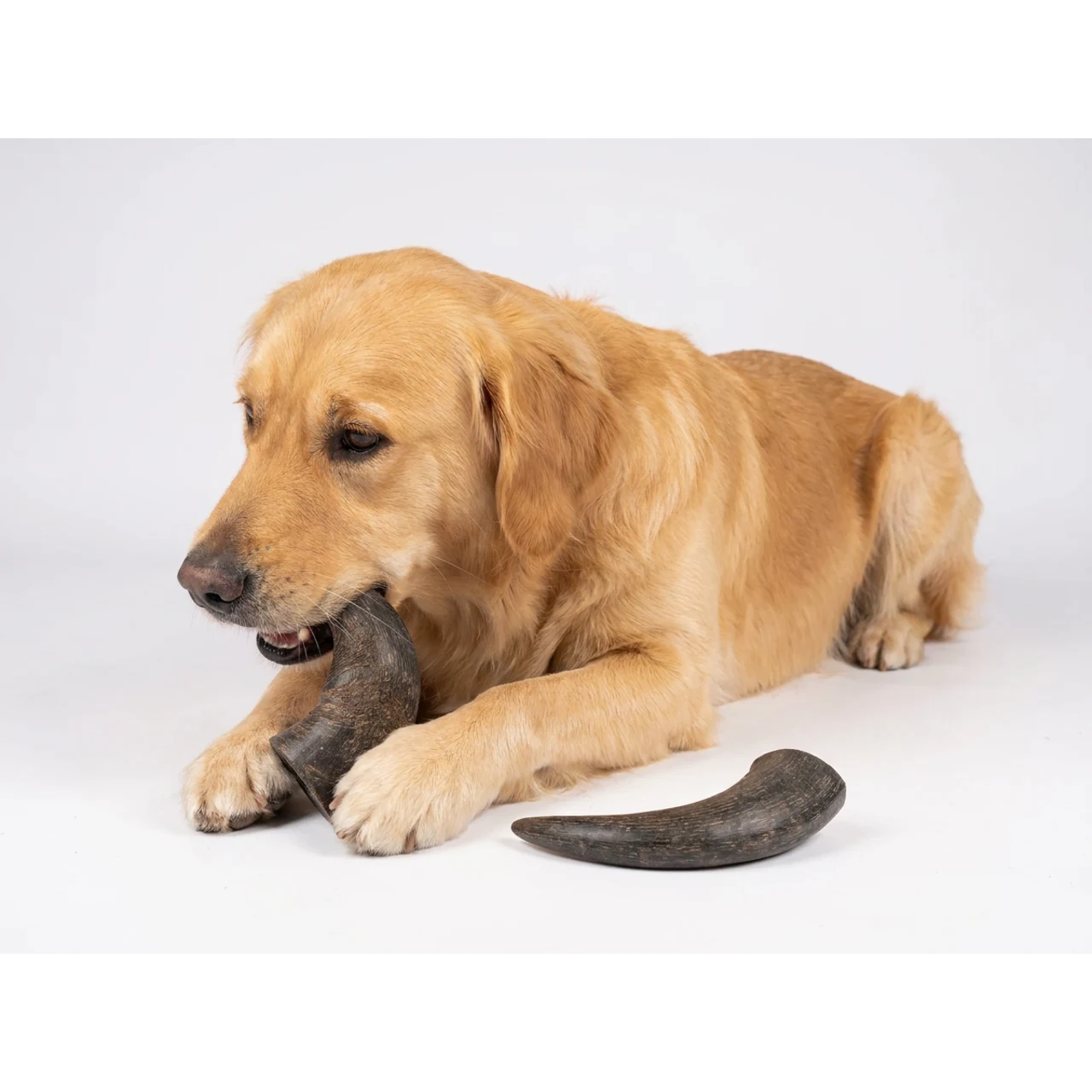 NATURE Snack Horn Small 2pcs Naturlige tyggeben til hunde