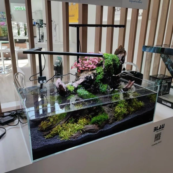 Blau Glasakvarium CUBIC Aquascaping Shallow 17 45x24x16 cm