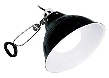 Exo Terra Glow light lampe stor