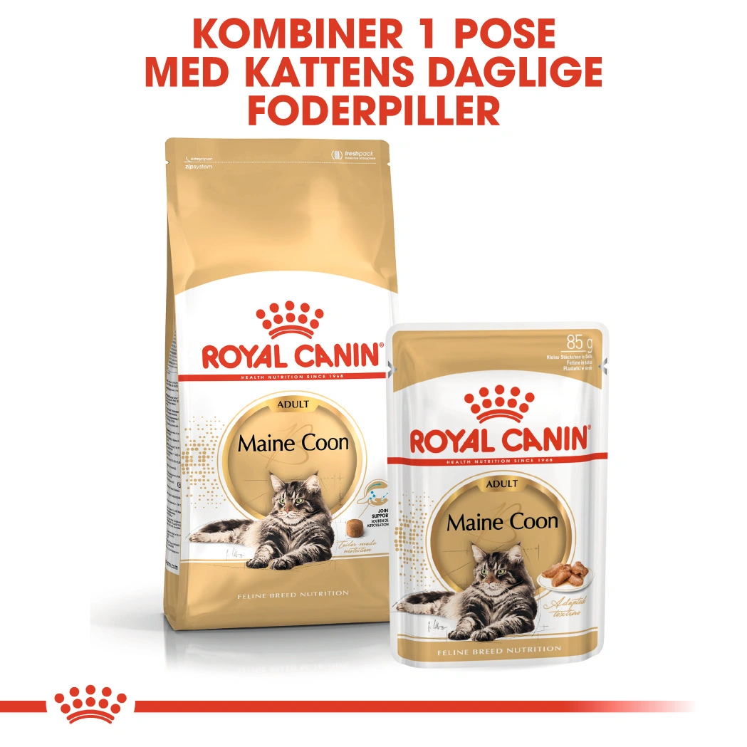 Royal Canin Maine coon Sovs - vådfoder 85 g