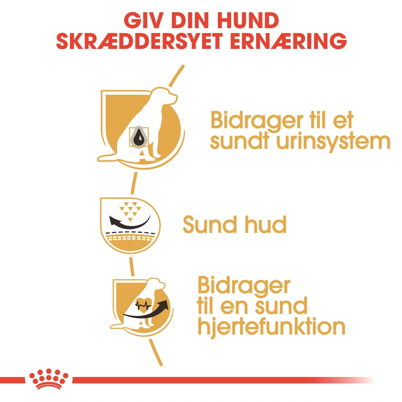 Royal Canin Dalmatian Adult 12 kg - tørfoder til voksne hunde